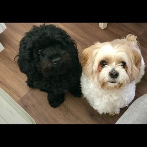 Meet your Posher, Patricia